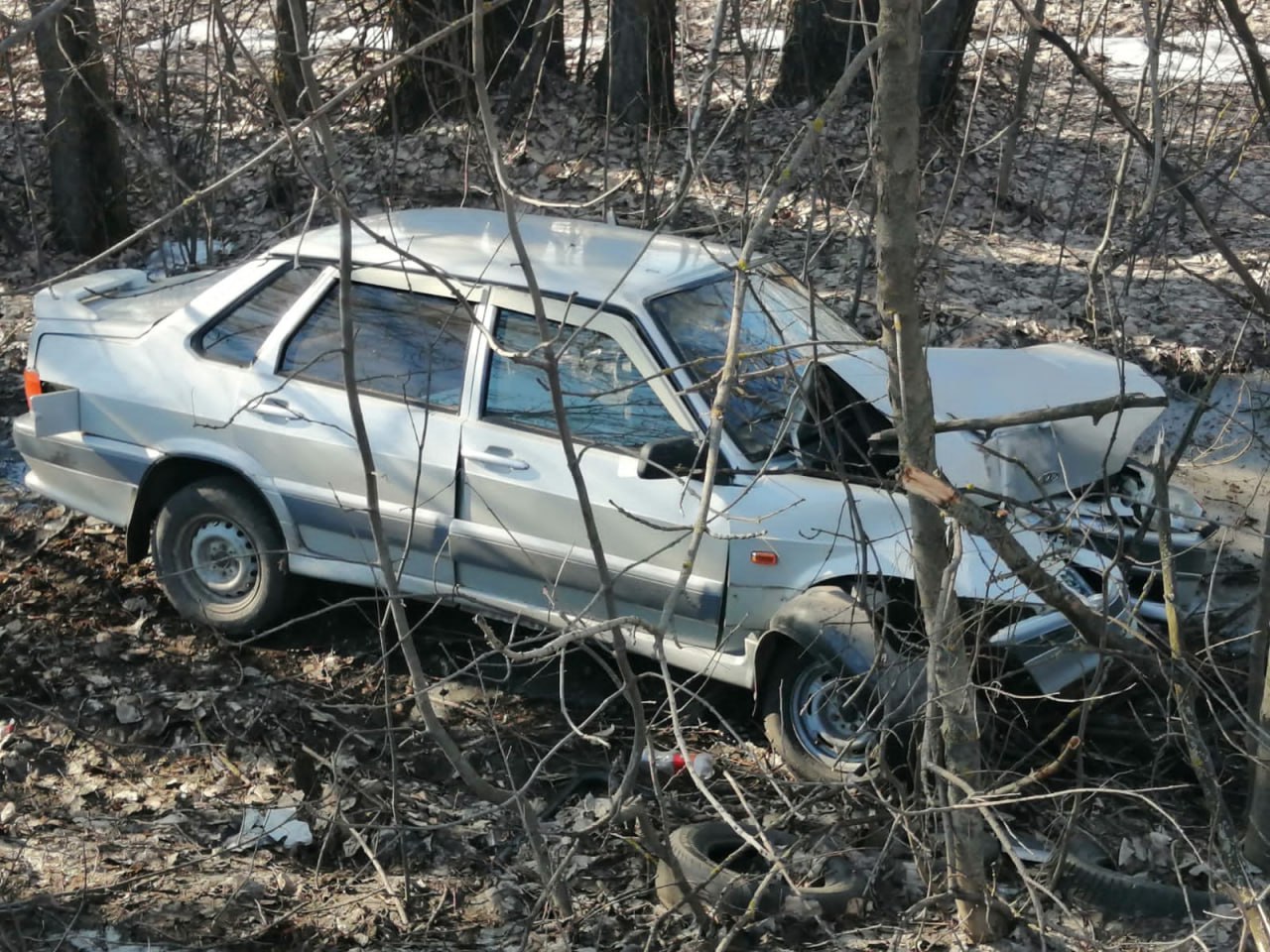 В Бутурлиновском районе водитель врезался в дерево: опубликовано фото