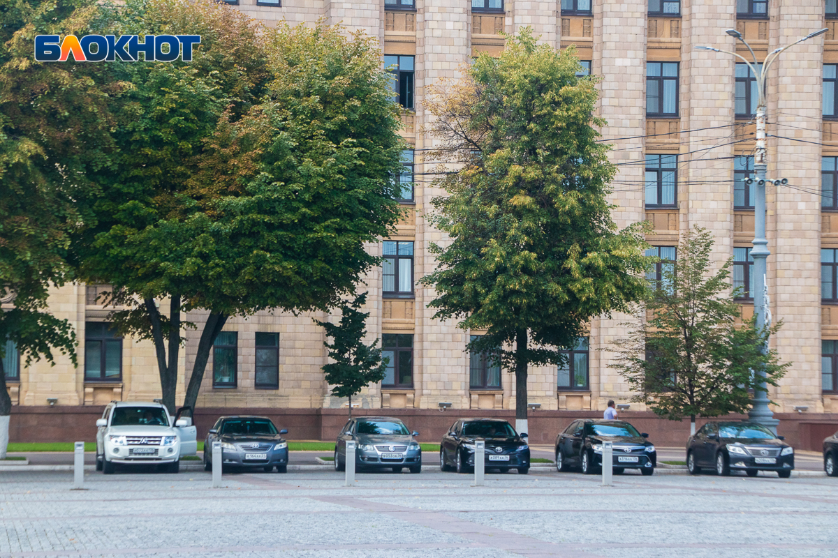 Никто не захотел продавать дешевые Lada Granta воронежскому правительству