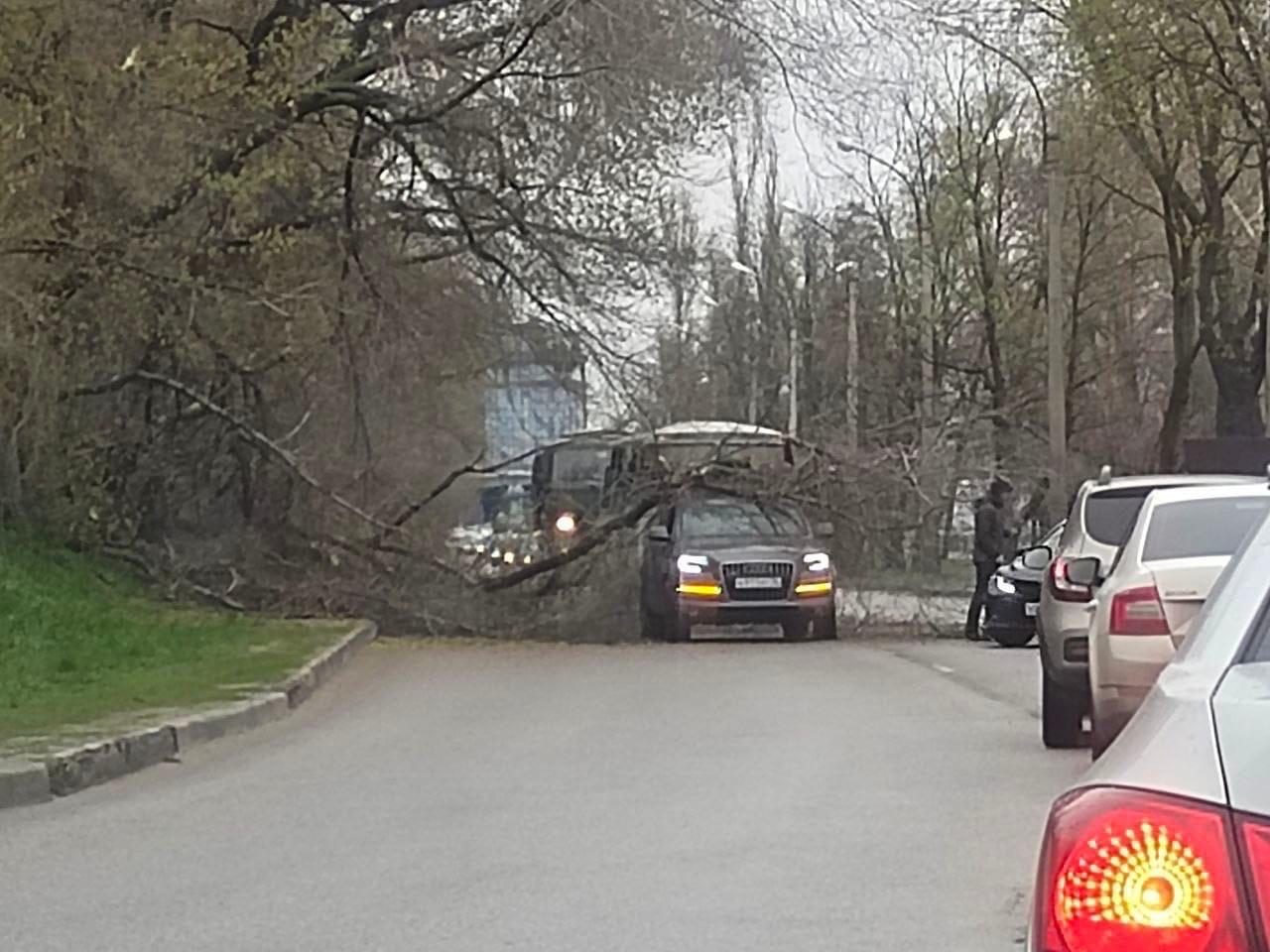 Дерево рухнуло на машину и собрало пробку на воронежской набережной